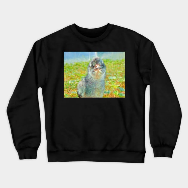 Baby Bird 1 Crewneck Sweatshirt by TrapperWeasel